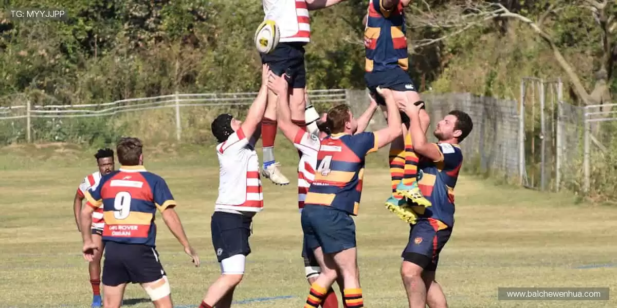 从训练场到直播间,你的热爱全程在线!📱