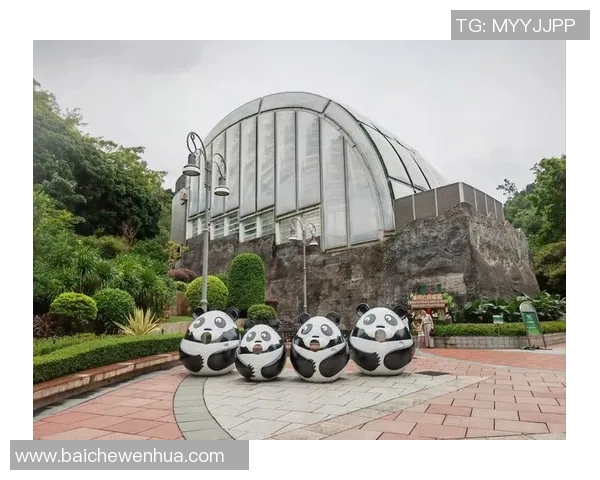 足球明星亲密接触大熊猫探索自然之美与动物保护的重要性